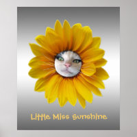 Pequena Miss Sunshine Sorrindo Gato