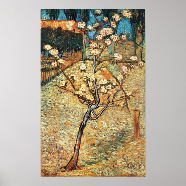 Poster Pequena pereira em flor por Vincent van Gogh (Frente)