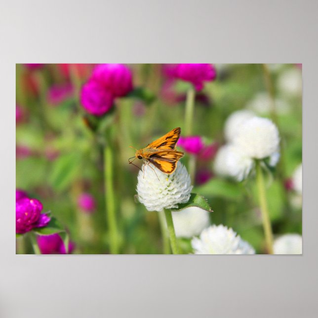 Poster Pequenas Ações 1 (Frente)