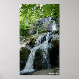 Pôster pequenas impermeáveis