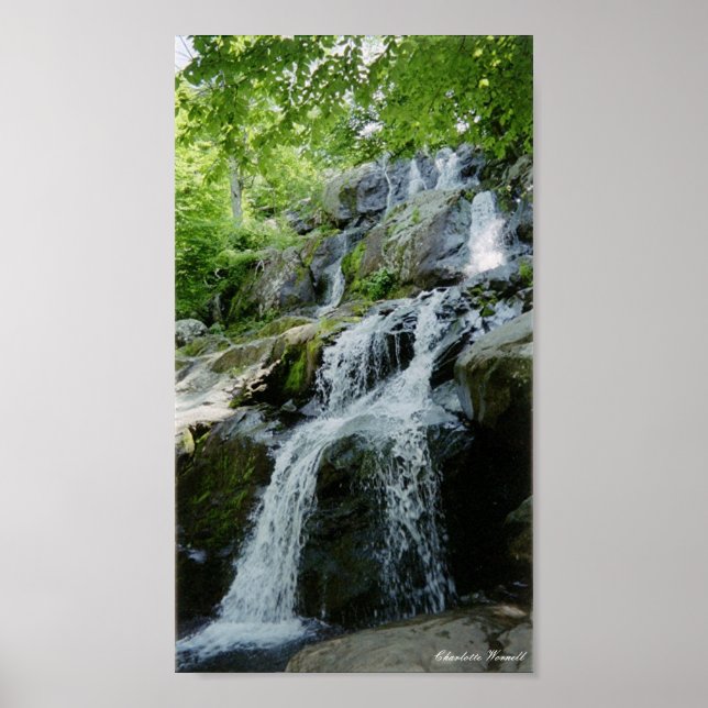 Pôster pequenas impermeáveis (Frente)