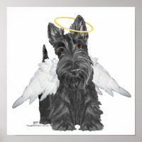Pequeno Anjo Scottie