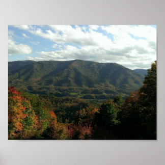 Pôster Pequeno Caminho do Pastor