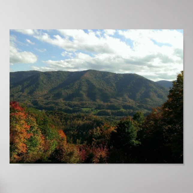 Pôster Pequeno Caminho do Pastor (Frente)