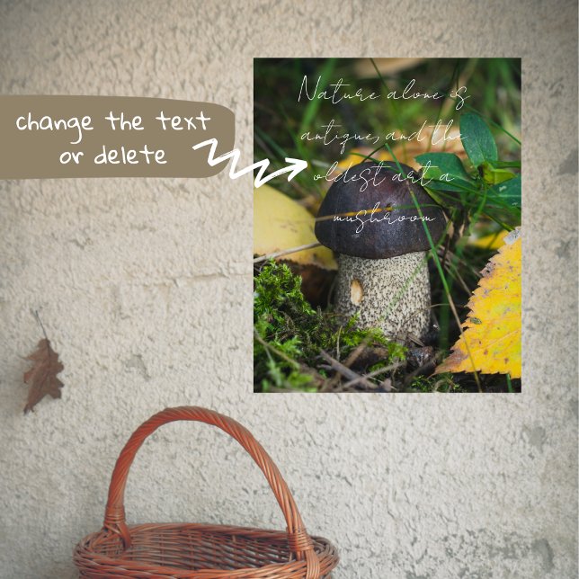 Poster Pequeno cogumelo bonito (Criador carregado)