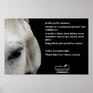 Poster pequeno com um cavalo branco e uma citaçã