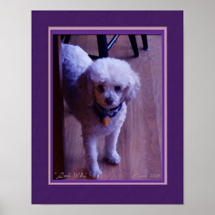 Poster pequeno de Willy