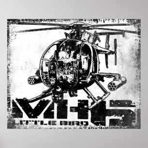 Poster pequeno do pássaro MH-6