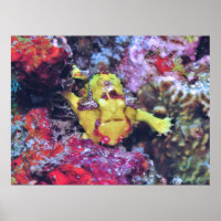 Pequeno Peixe-Pau Amarelo