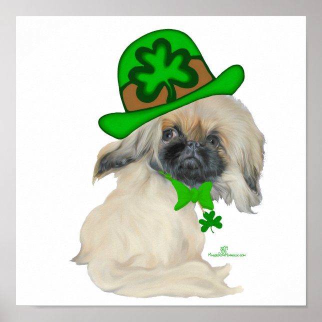 Pôster Pequeno St Paddy Peke (Frente)