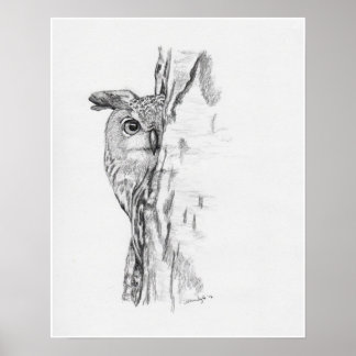 Pôster Pequim Coruja"