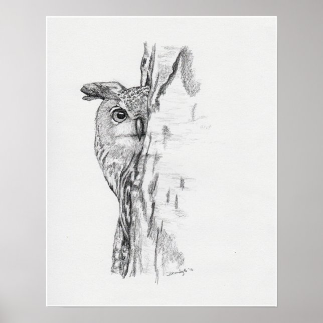 Pôster Pequim Coruja" (Frente)