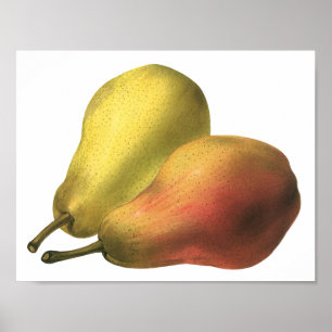 Pôster Peras Antigas, Alimentos Orgânicos, Fruta Madura