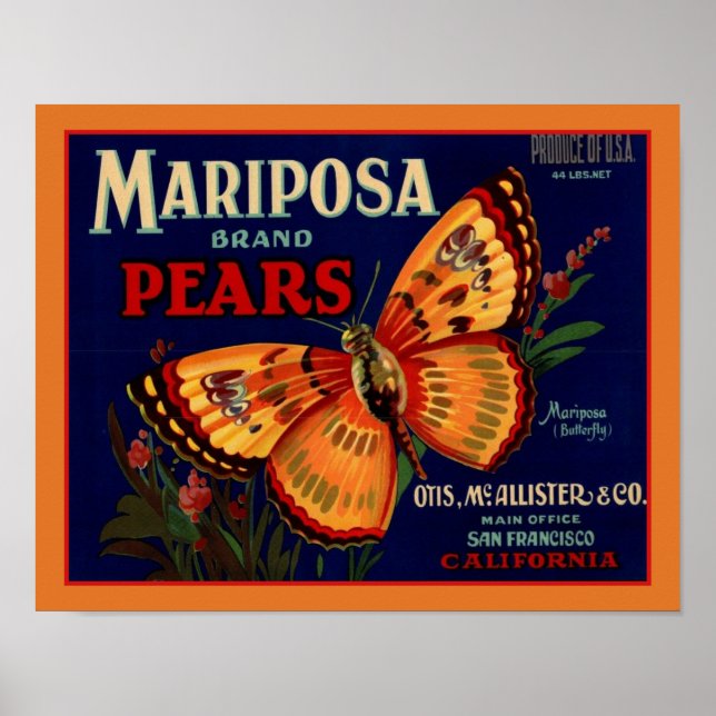 Poster Peras de borboleta Mariposa de 1940 (Frente)