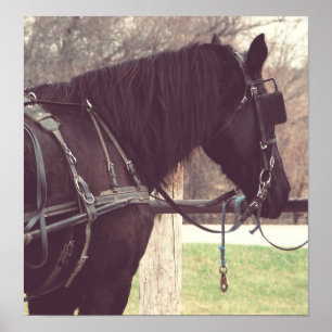 Pôster Percheron, Faux Vintage