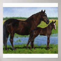 Percheron Mare e Foal Retrato