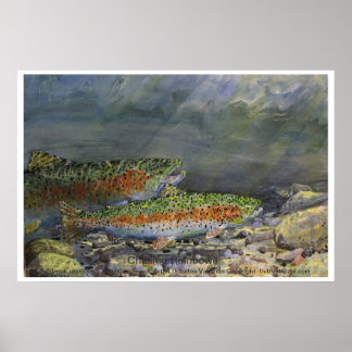 Pôster Percorrendo o Rainbows