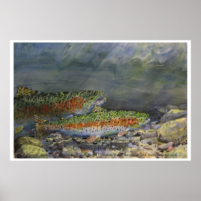 Pôster Percorrendo o Rainbows (Frente)