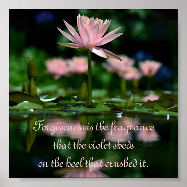 Pôster Perdão é a fragrância que a violeta abraça (Frente)