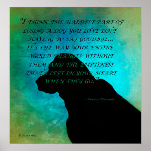 Poster Perdendo um Cão