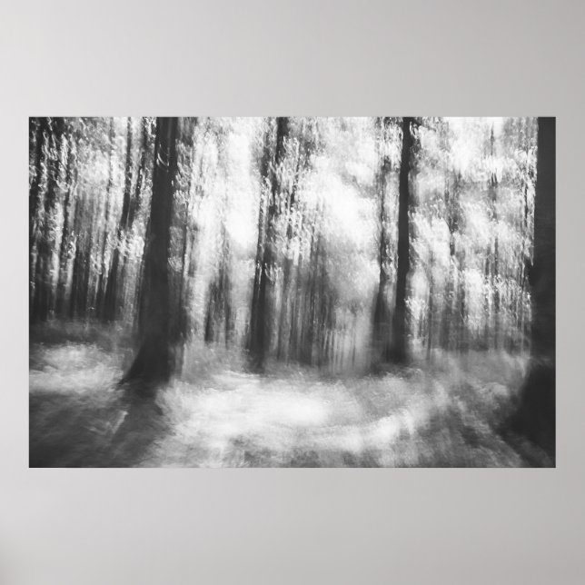 Poster Perdida na floresta - fotografia infravermelha abs (Frente)