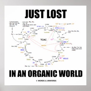 Poster Perdido Num Mundo Orgânico (Ciclo De Krebs)