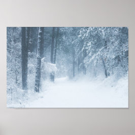 Poster Perdido numa floresta mágica