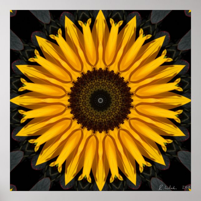 Pôster Perfect Sunflower (Frente)
