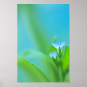 Poster Perfeição minúscula