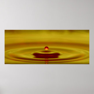 Pôster Perfeição Simples