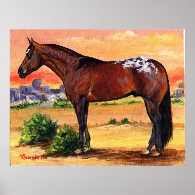 Poster Perfil Appaloosa Retrato Horso (Frente)