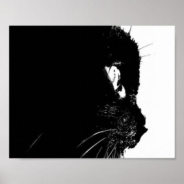Pôster Perfil de Cat (Frente)