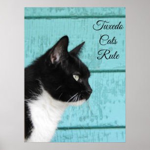 Poster Perfil de Cat Tuxedo em Teal