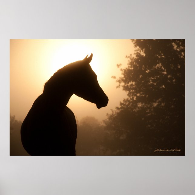 Poster Perfil Nobre (Frente)
