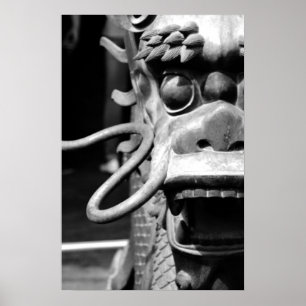 Poster Perfurador do dragão