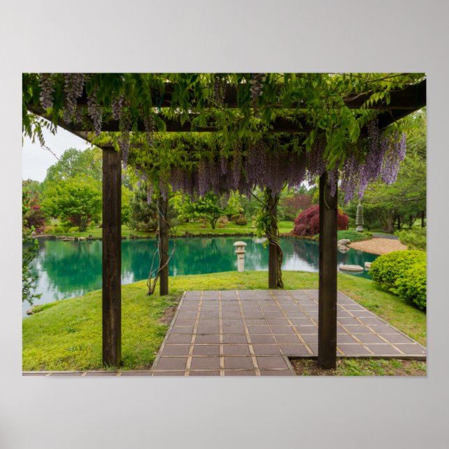 Poster Pérgola De Wisteria (Frente)