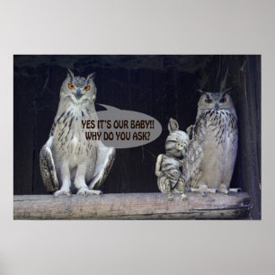 Pôster Pergunta sobre bobo