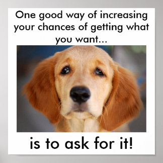 Poster Pergunte o que você quer