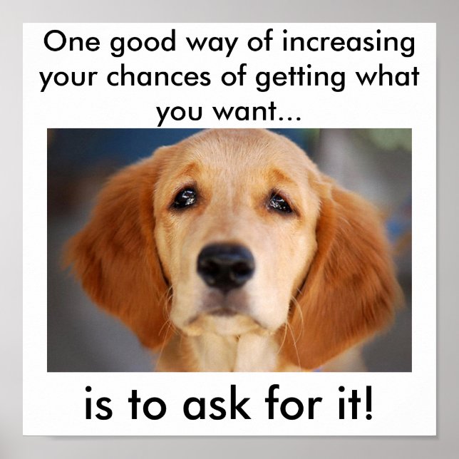 Poster Pergunte o que você quer (Frente)