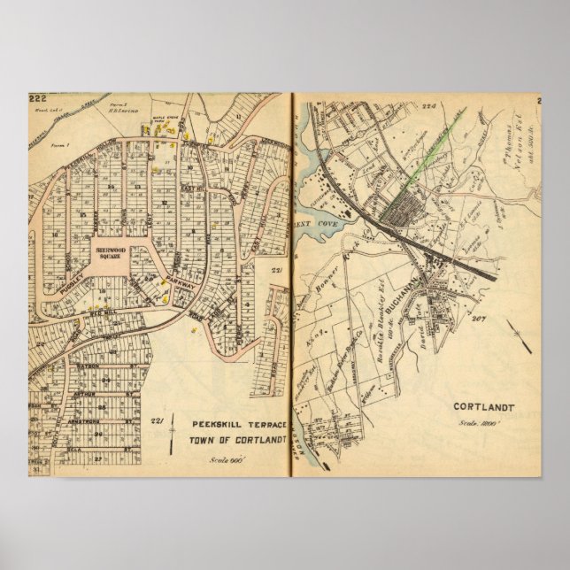 Poster Perícia, Nova Iorque (Frente)