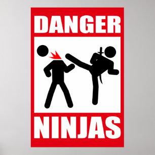 Pôster Perigo Ninjas