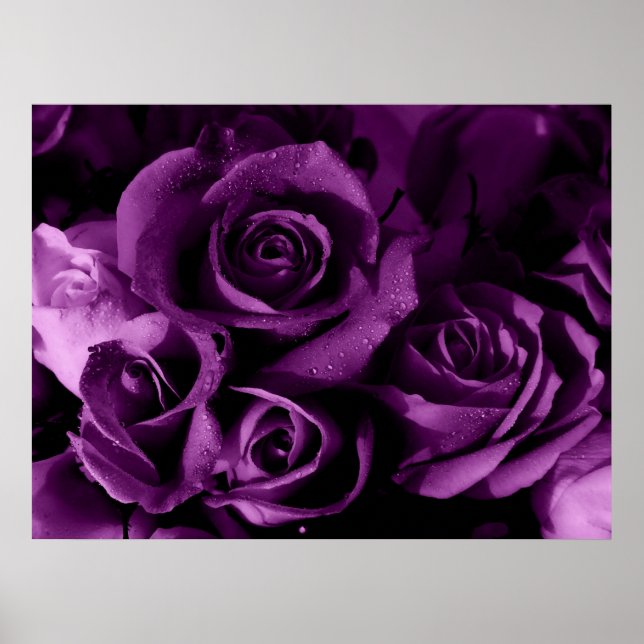 Pôster Perigo Roxo (Frente)