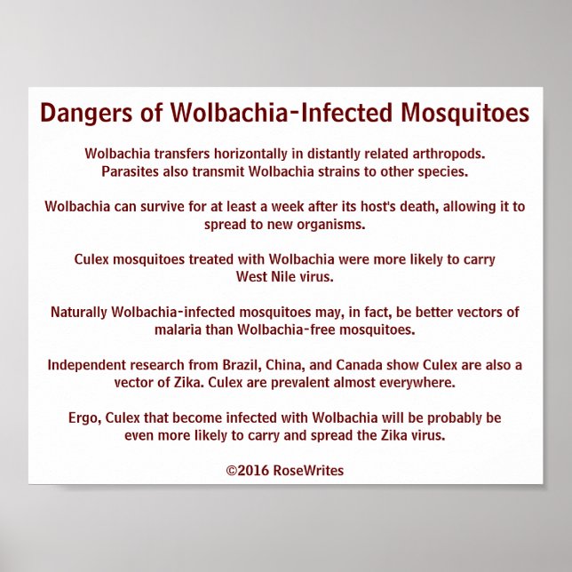 Poster Perigos de Wolbachia Mosquitoes por RoseWrites (Frente)