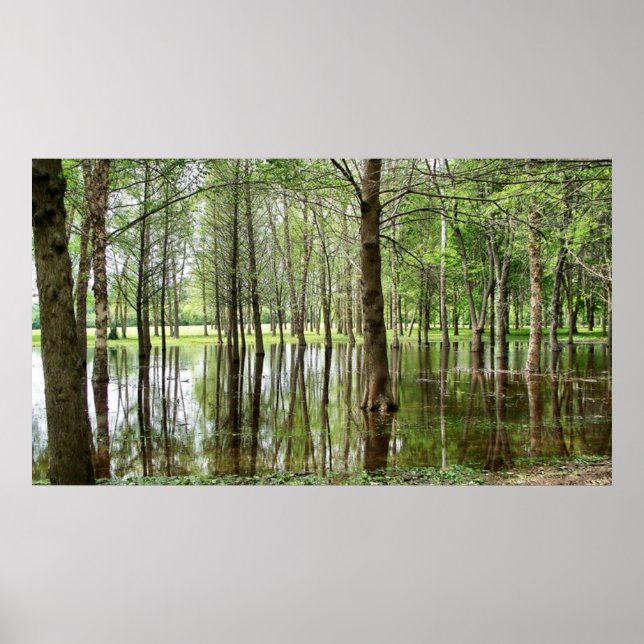 Pôster Perrin Park (Frente)