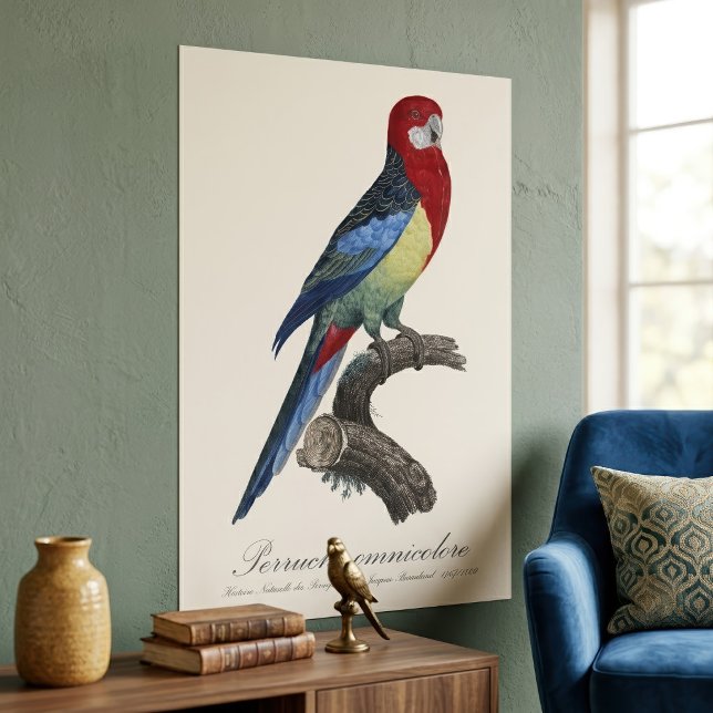 Poster Perruche omnicolore / Rosella Oriental (Eastern rosella or Platycercus eximius parakeet. Poster)