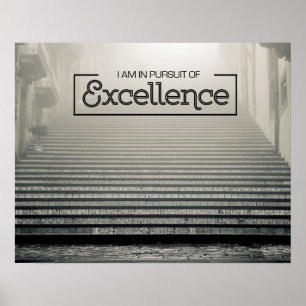 Poster Perseguição da excelência