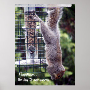 Poster Persistência