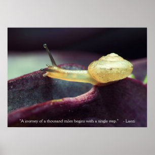 Pôster Persistência da Perseverança da Cotação Motivacion