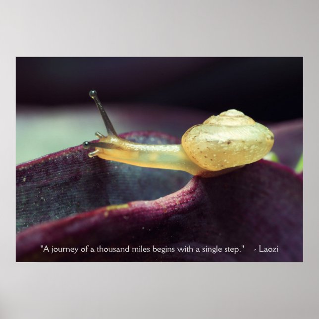 Pôster Persistência da Perseverança da Cotação Motivacion (Frente)