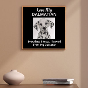 Poster Personalizado Dalmático
